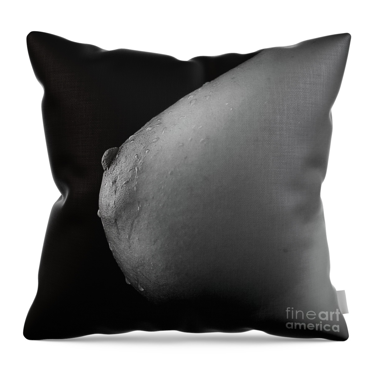 Tit Pillow